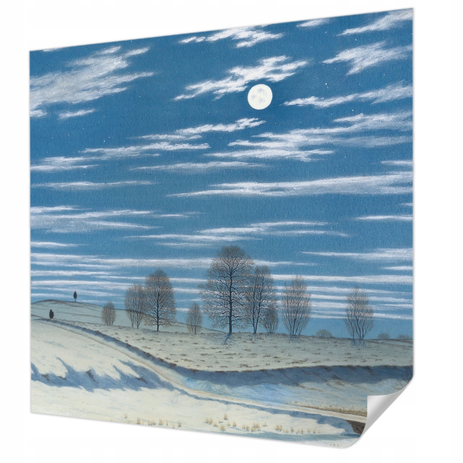 Fototapeta Samolepicí Odolná proti poškrábání Zimní krajina 250x250 cm