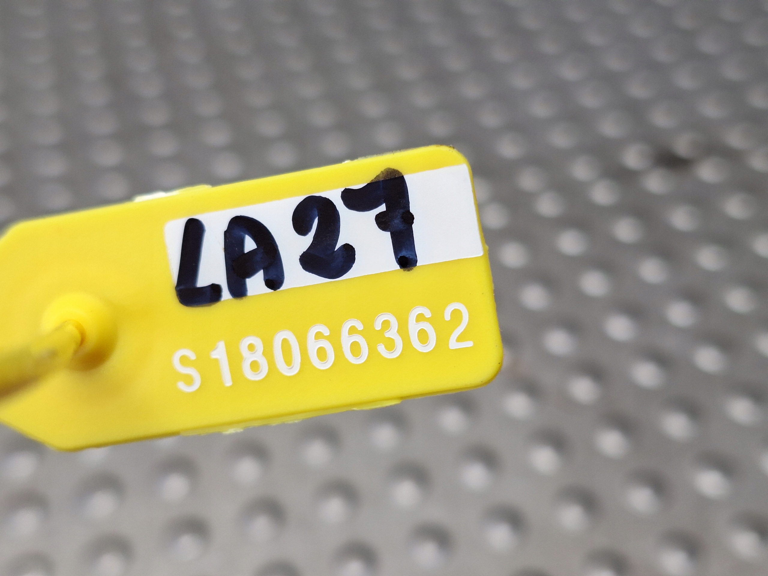supporto Supporti motore usato JAC-L21021 DR EVO III 1.6B 19-23