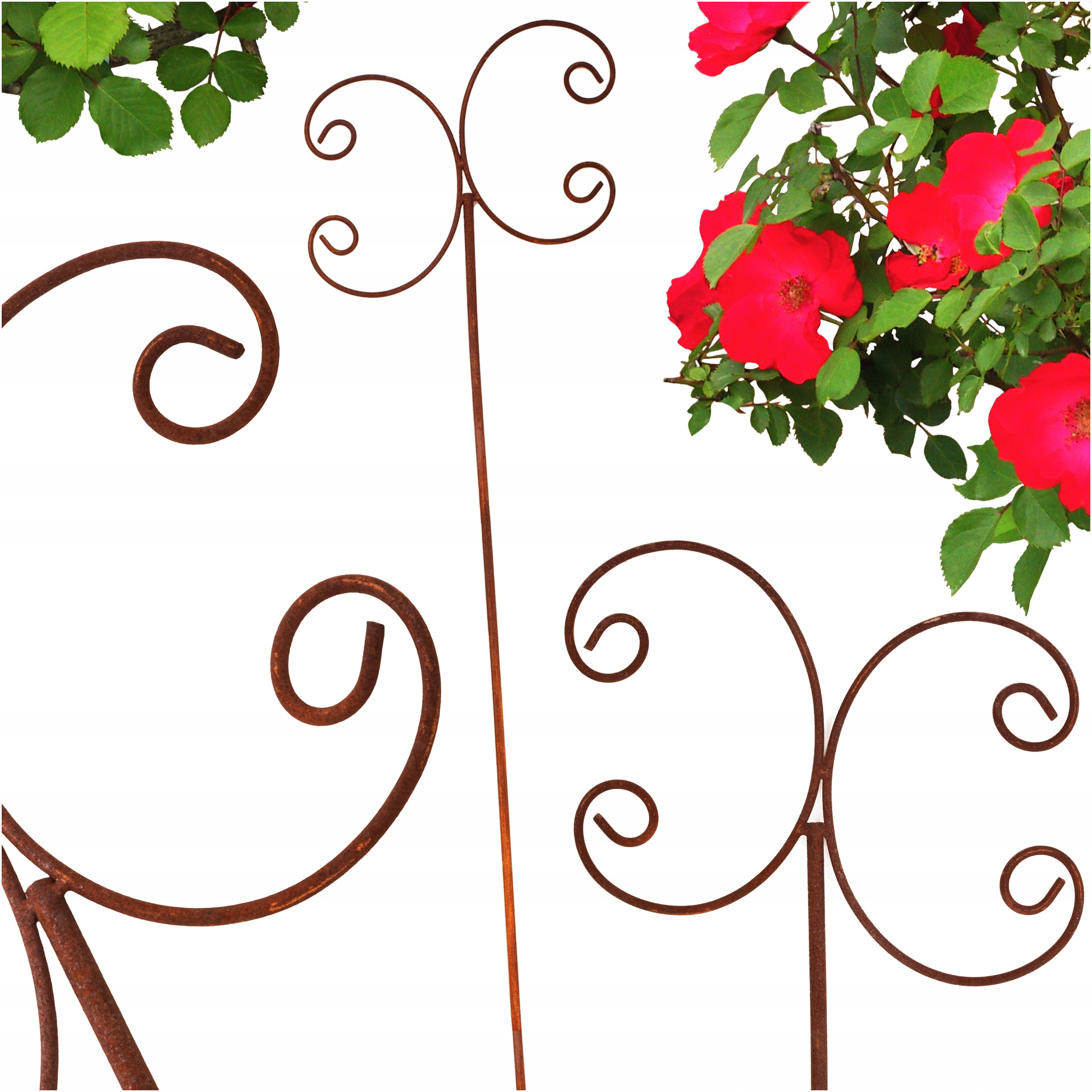 Treláž Zahradní Kovová Terasová Pergola Na Keře Růží Pivoňka 150 CM