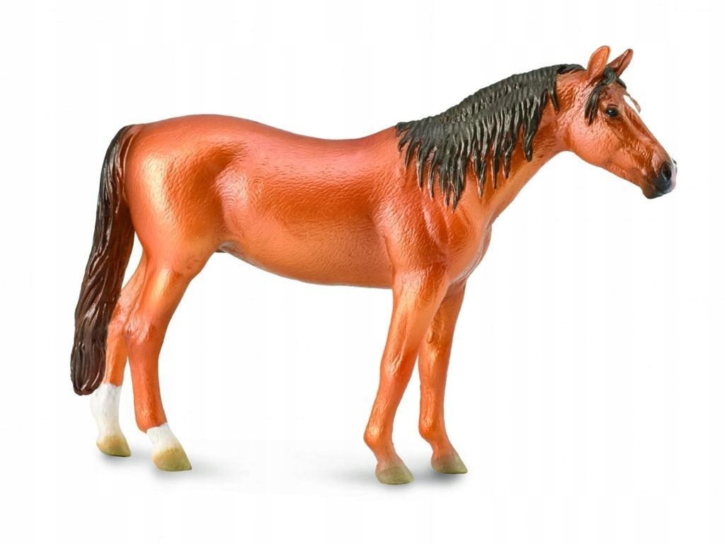 

Koń Russian Don Mare, Collecta