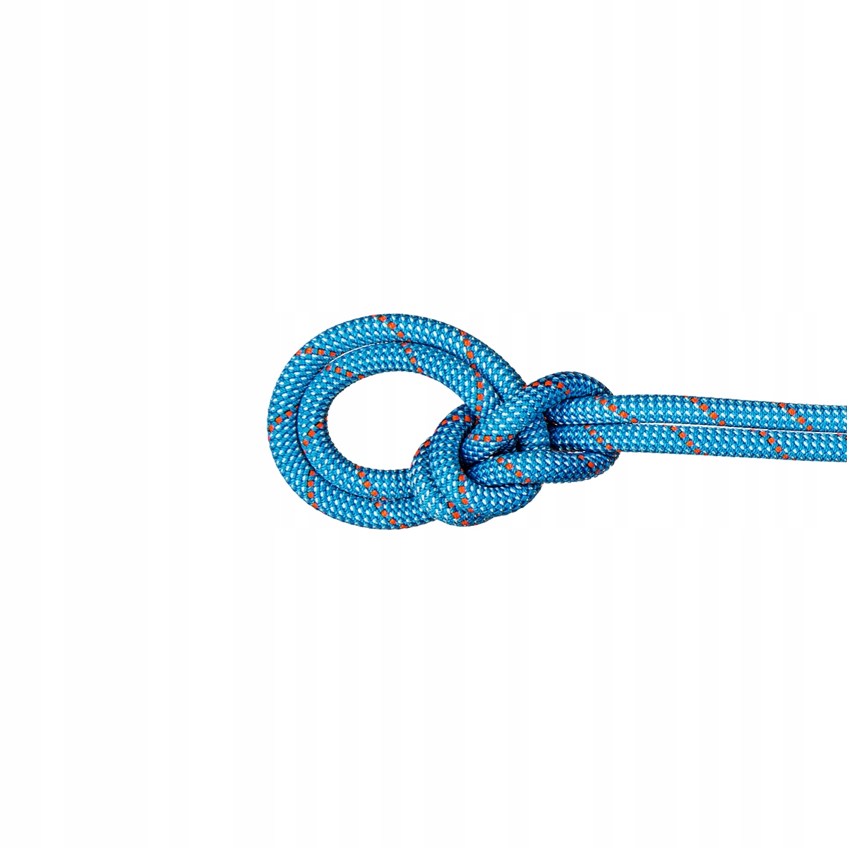 Lina dynamiczna Mammut 9.8 Crag Classic Rope Classic Standard.ice mint-whi