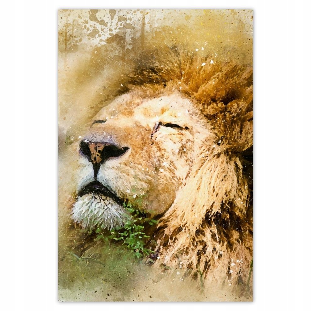

Plakaty 40x60 Lew