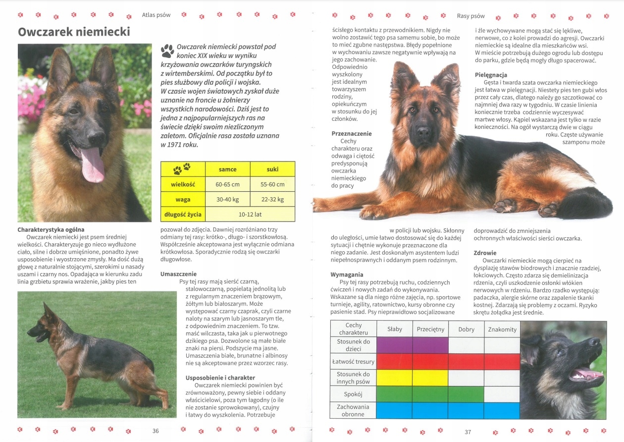 ATLAS PSÓW RASY PIELĘGNACJA ODŻYWIANIE ALBUM TWARDA Okładka twarda