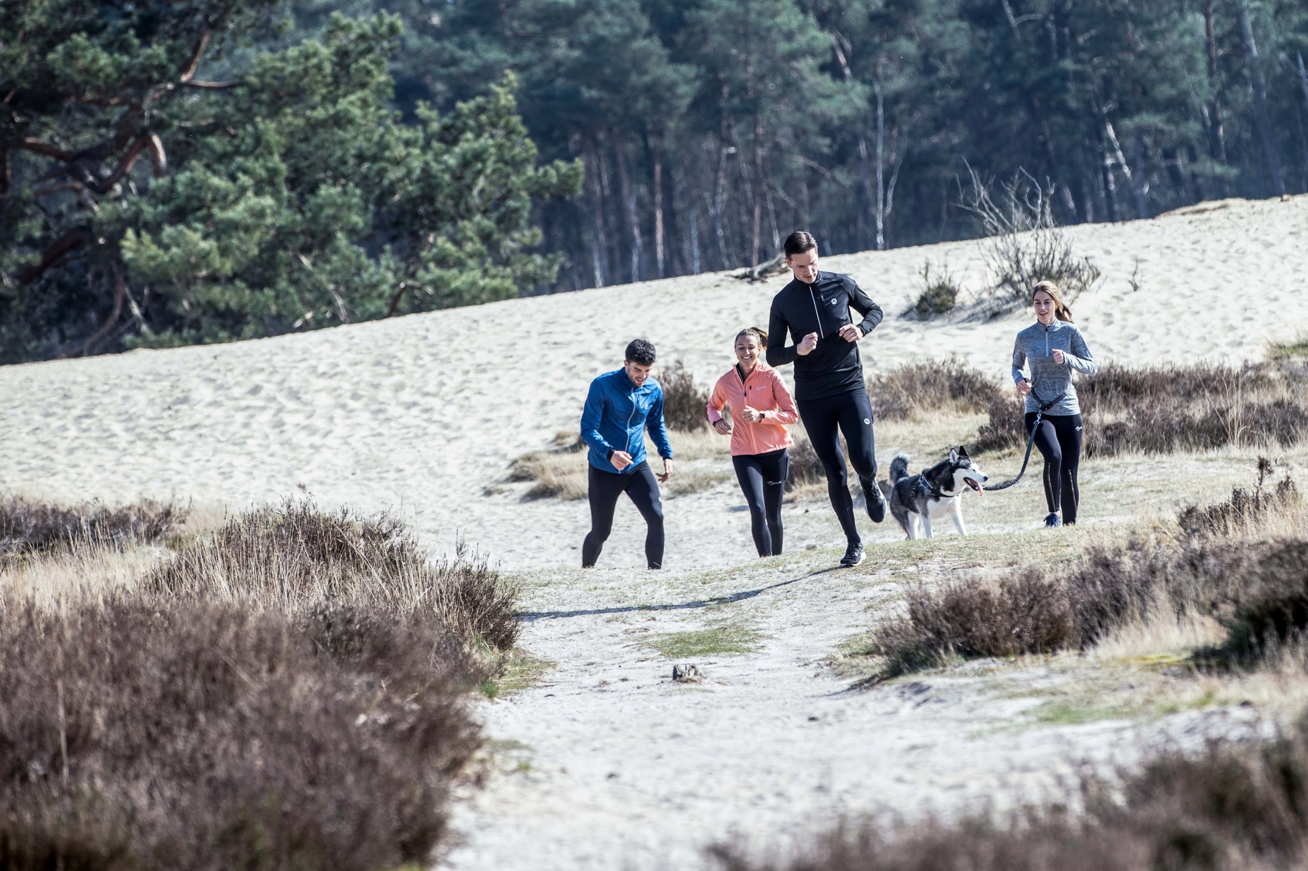 Rogelli ESSENTIAL - męska kurtka do biegania Kolekcja ESSENTIAL