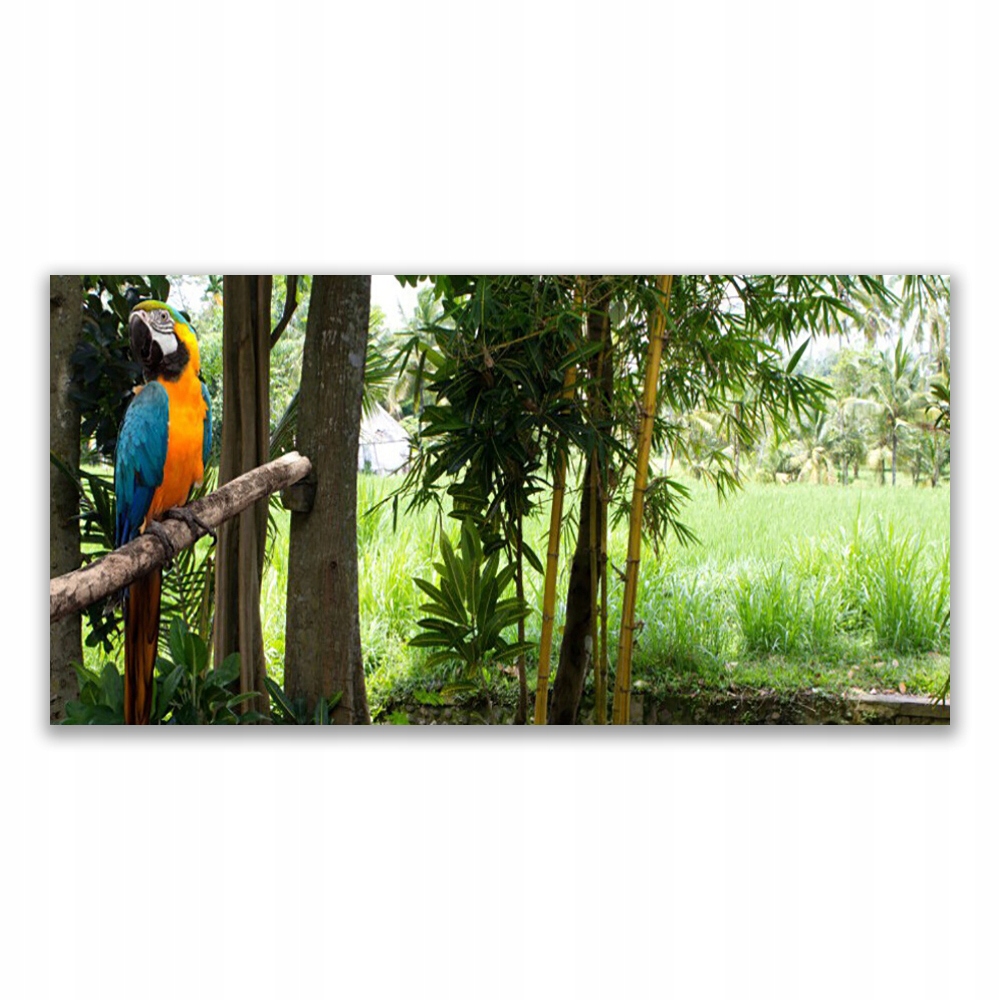 

Fotoobraz nowoczesny 120x60 Papuga Drzewa Natura
