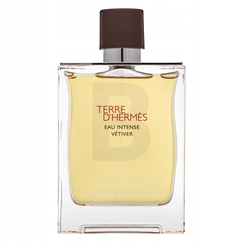 Hermès Terre D'Hermes Eau Intense Vetiver parfémovaná voda pro muže 200 ml