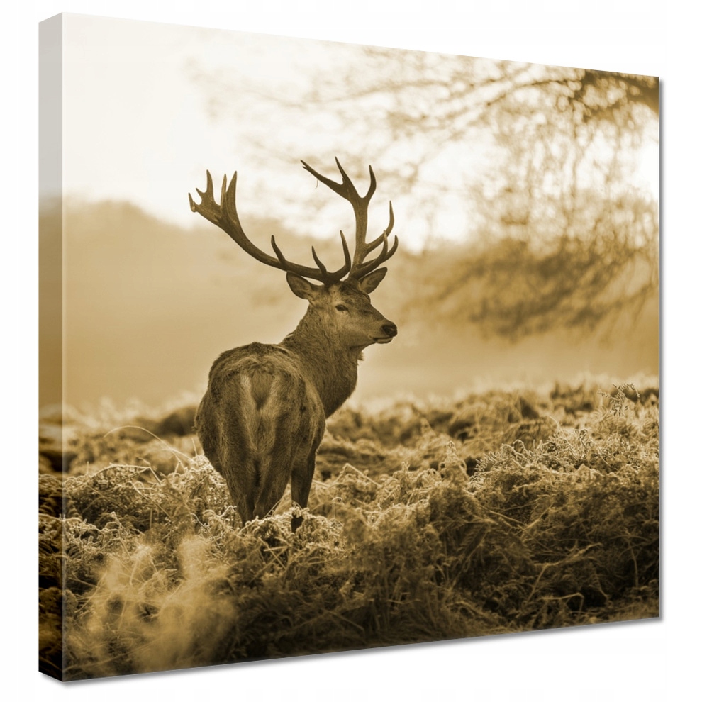 Obraz 90x90 Jelen Sepia