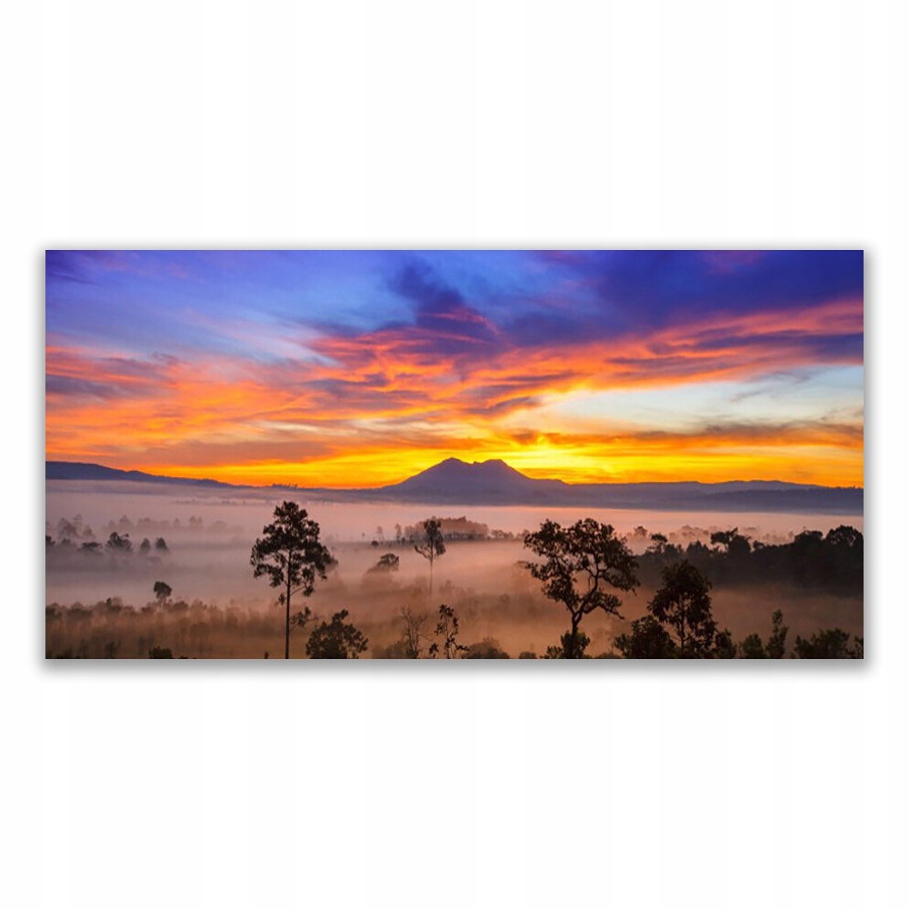 

Fotoobraz na ścianę 120x60 Drzewa Mgła Krajobraz