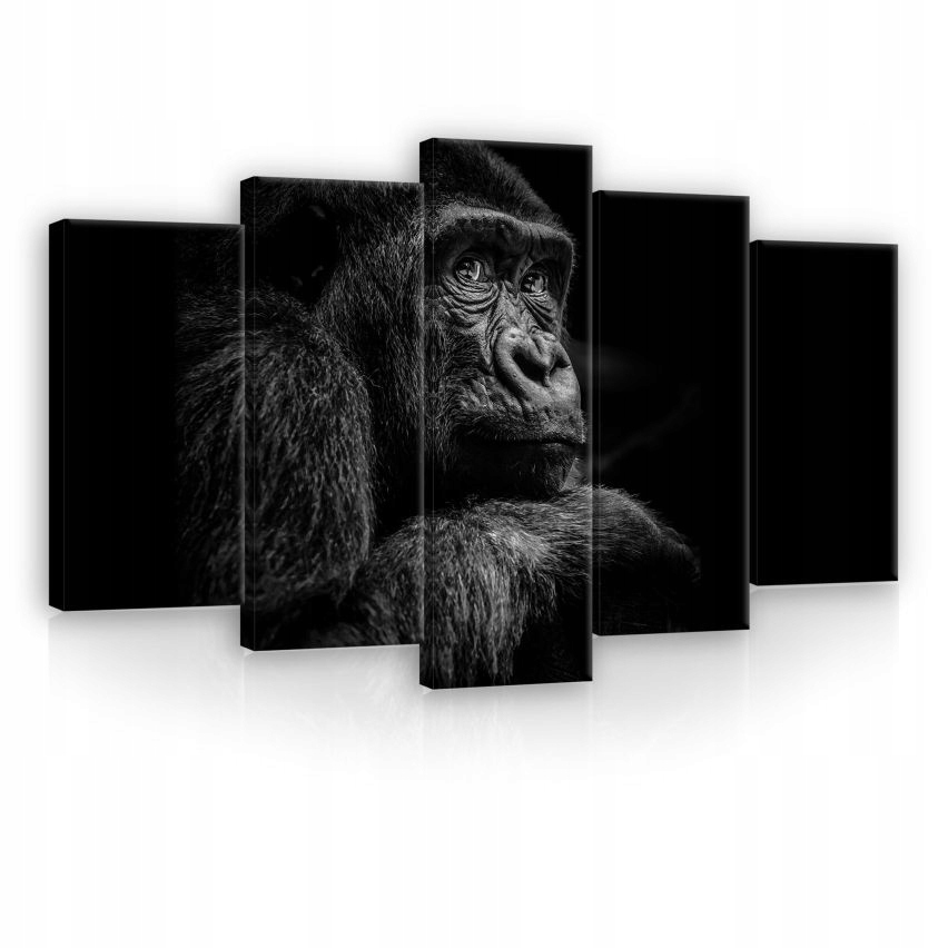 Obraz 100x60 Gorila Černobílý portrét zvířete polyptych na plátně