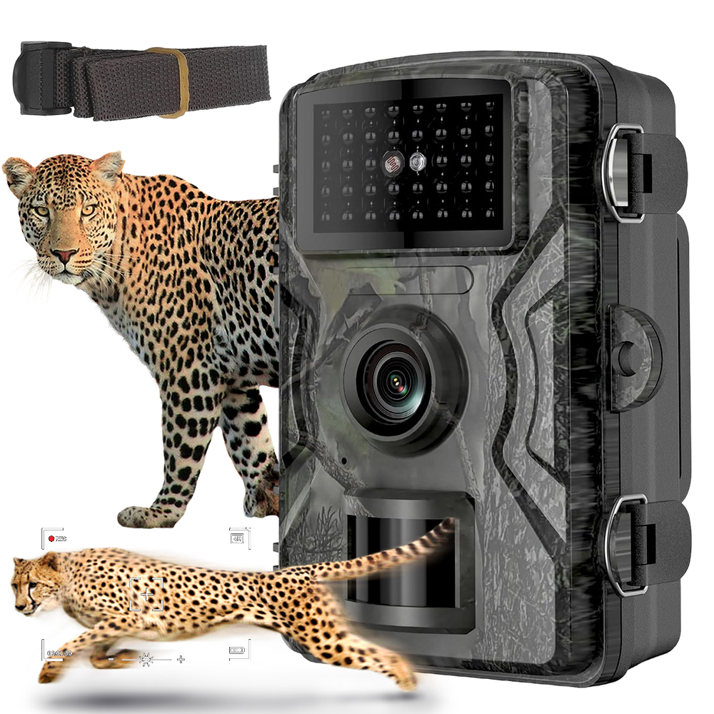 Noční pro záznam zvířat bez světla 940 mn Bateriové napájení