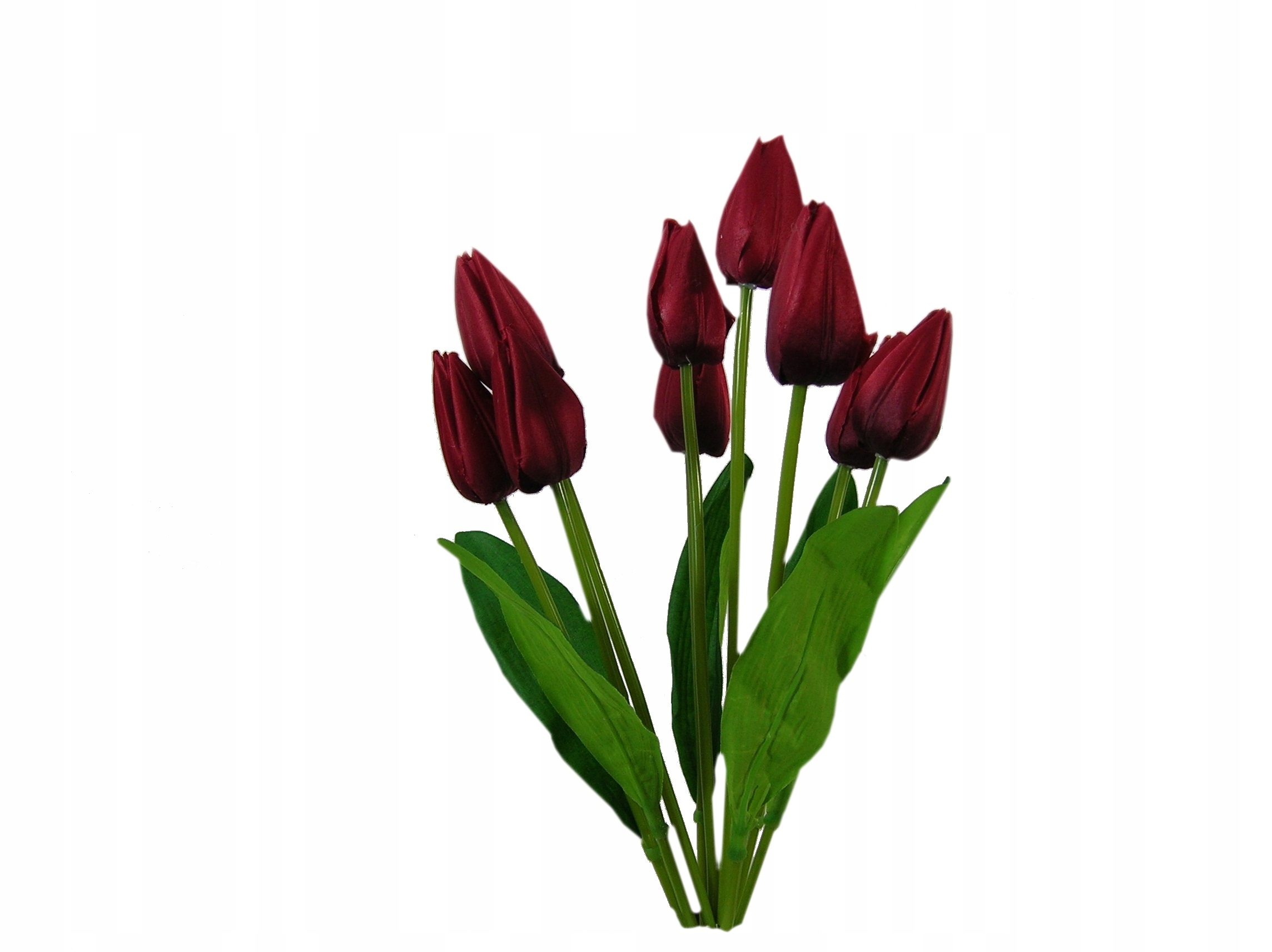 

M. Bukiet Bordowe Tulipany Tulipan Bukiet