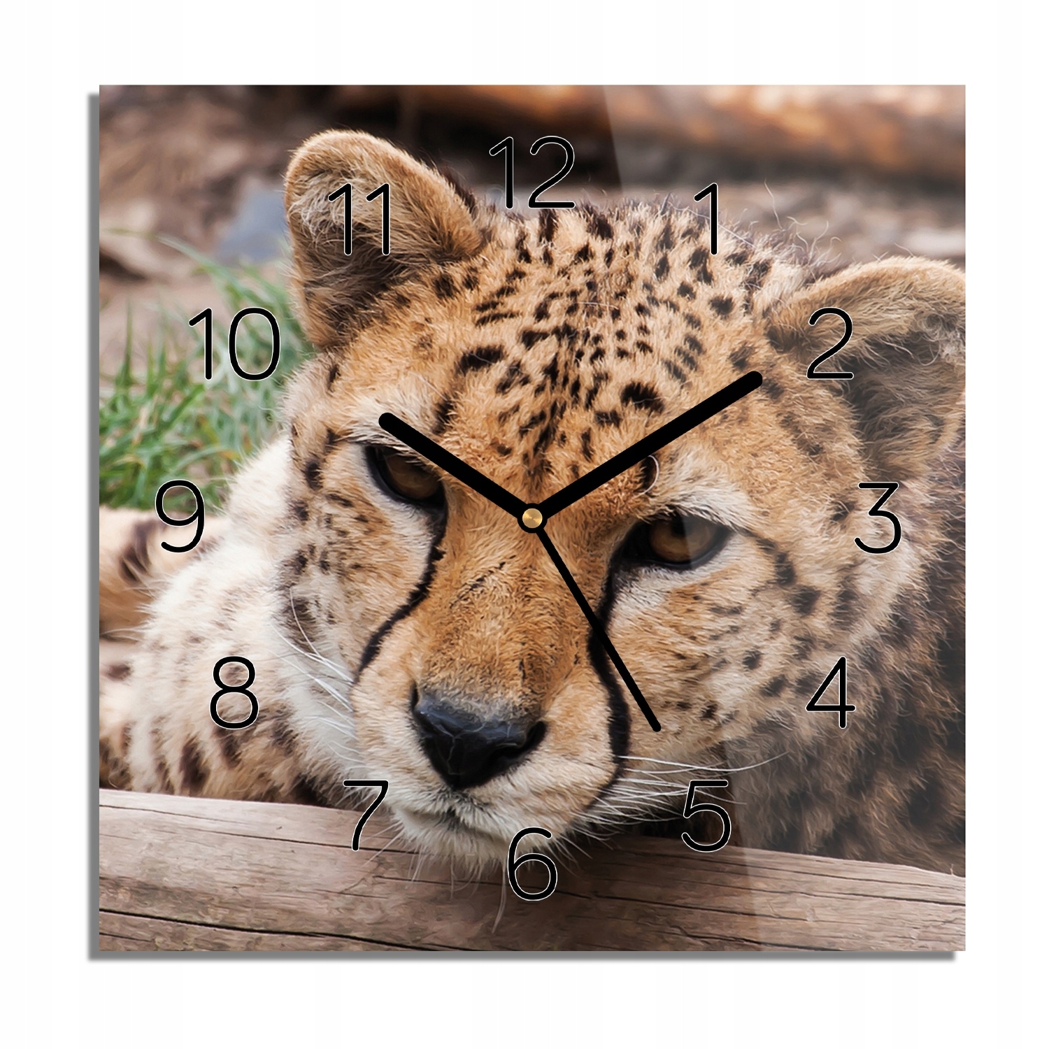 

Gepard rośliny foto-zegar do jadalni 30x30 cichy