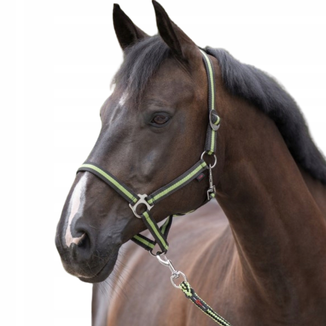 Kantar dla konia Hippo, antracyt/jasnozielony, Covalliero Pony