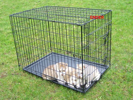 KLATKA TRANSPORTER KOJEC dla Psa Psów 60x45x53cm M Szerokość produktu 45 cm