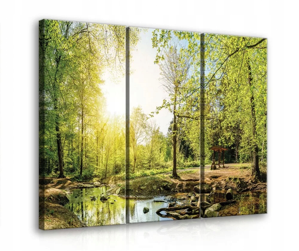 Obraz Na Plátně Canvas 90x80 Les Slunce Krajina