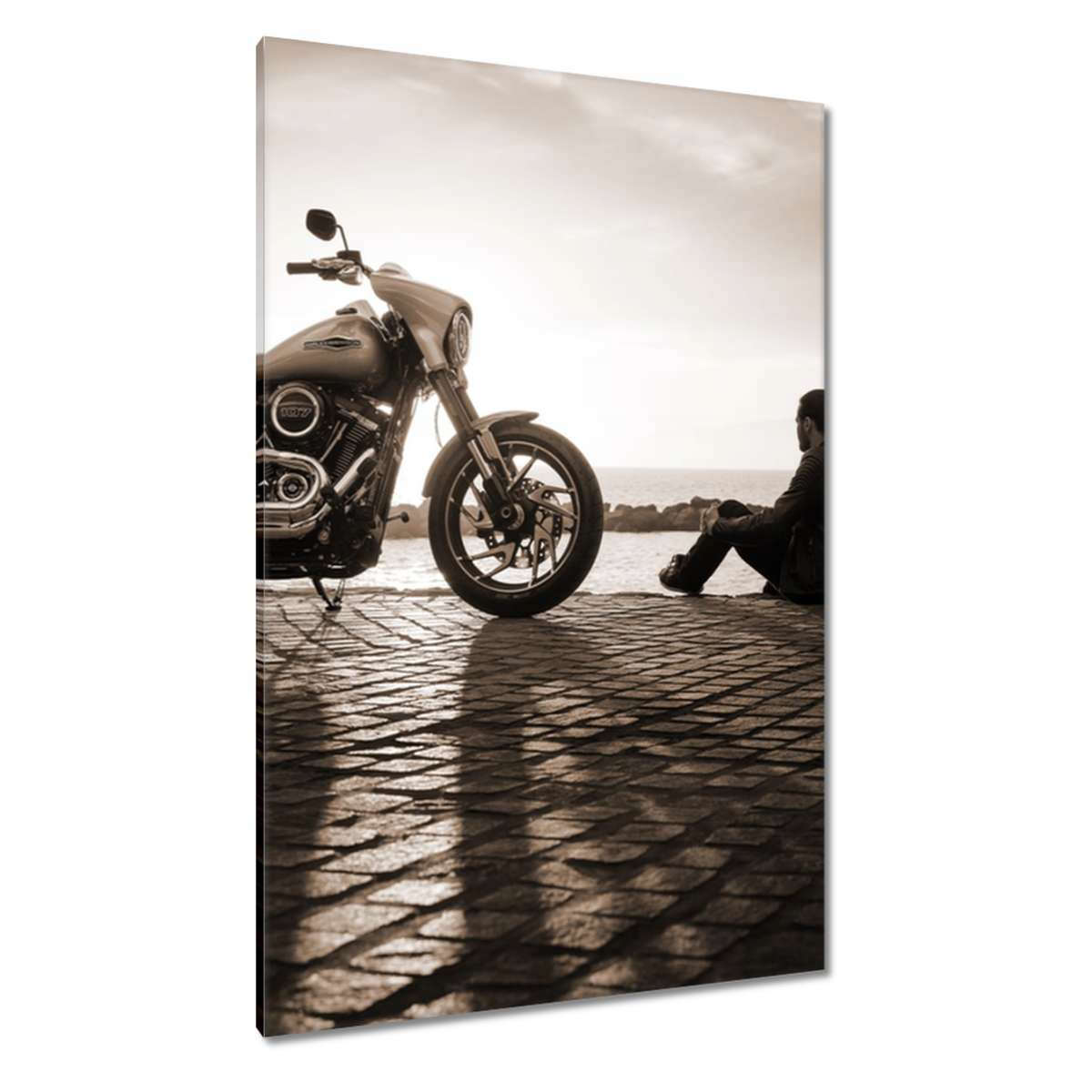 Obrazy 80x120 Harley Davidson Motocykl