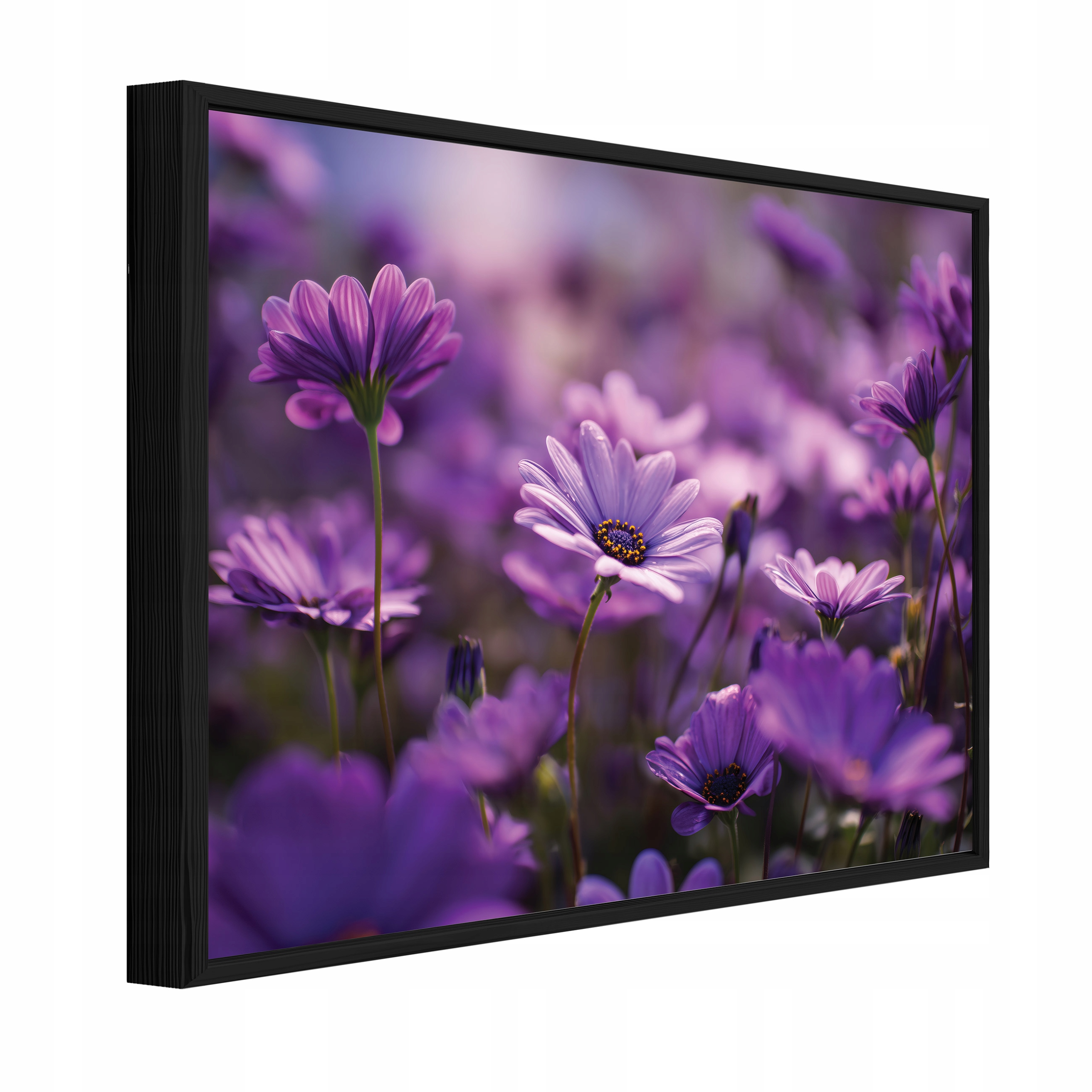 Obraz V Černém Rámu Na Plátně Polní Květiny Příroda Obývací Pokoj Ložnice 60x40