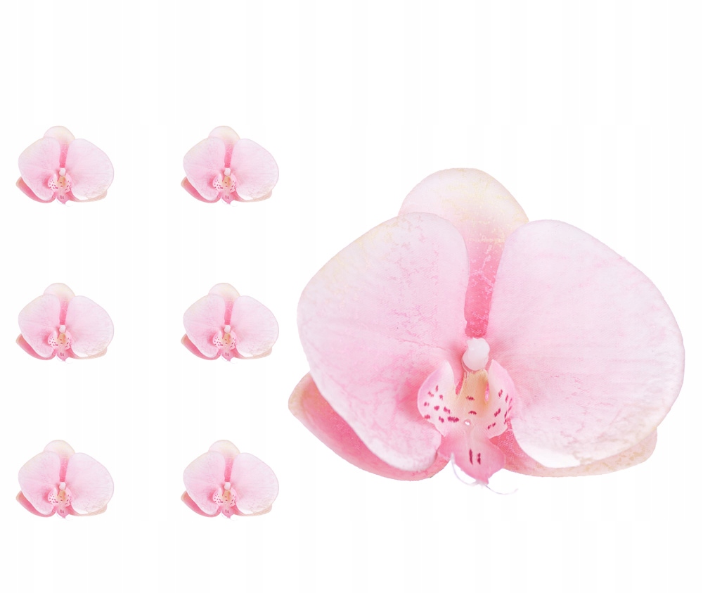 

Storczyk orchidea główka kwiatowa jasnoróżowa 6szt