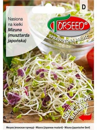 17 X Mizuna, semínka na klíčky 5 g Torseed