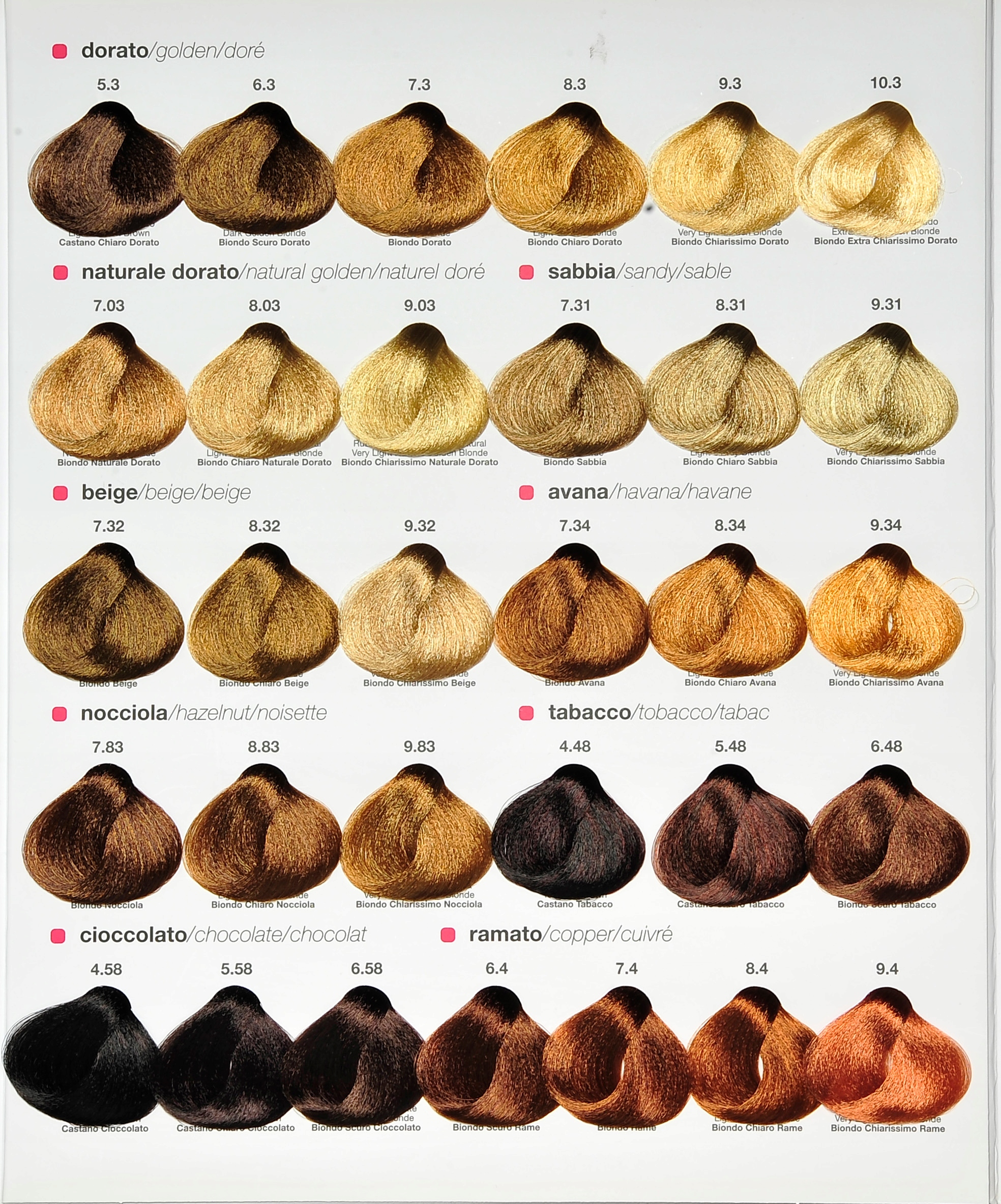 Renee Blanche Haute Coiffure Farba 100 ml, 8.4 Pojemność 100 ml