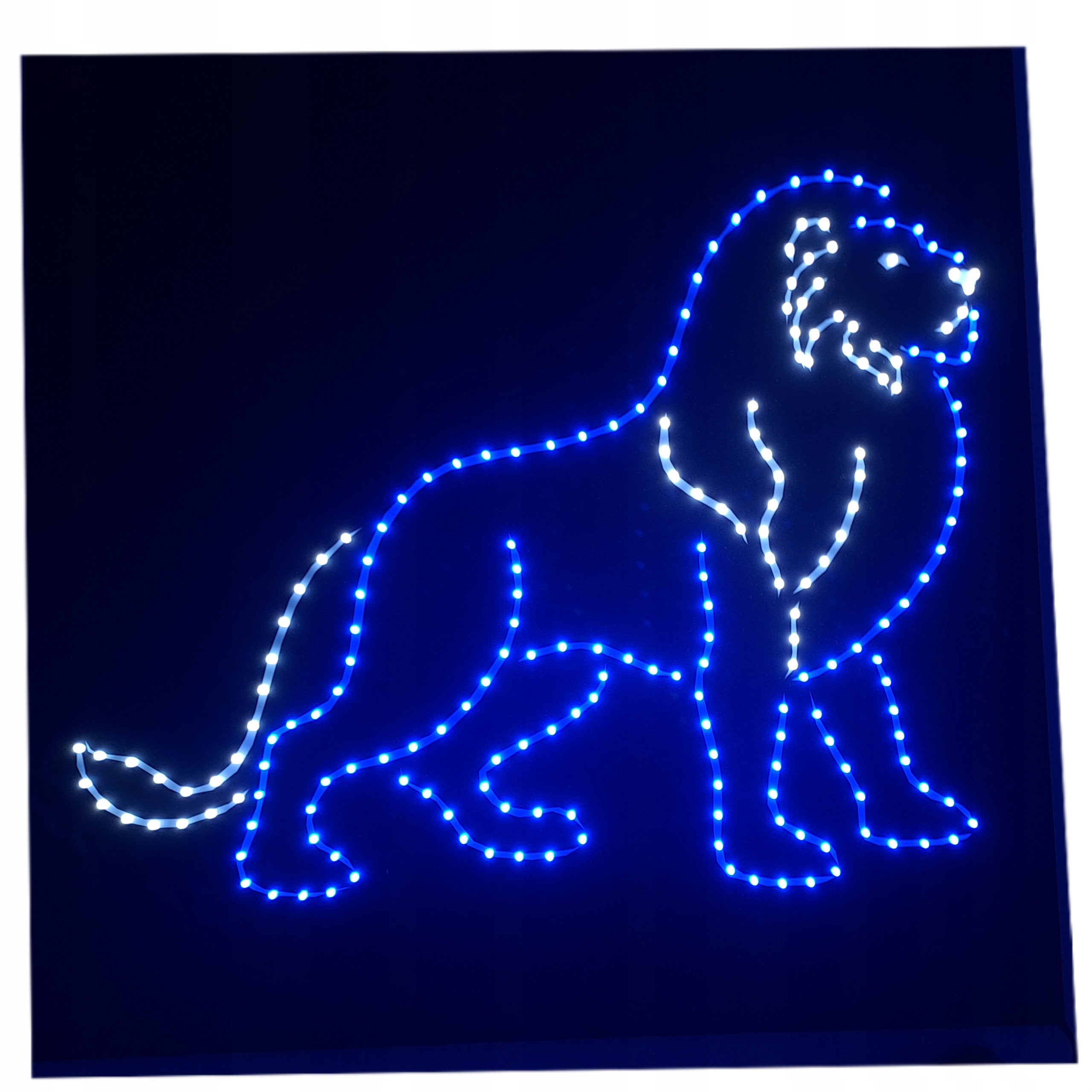 Led diodová tabule nad postel lev tygr př: scania man daf volvo Tir