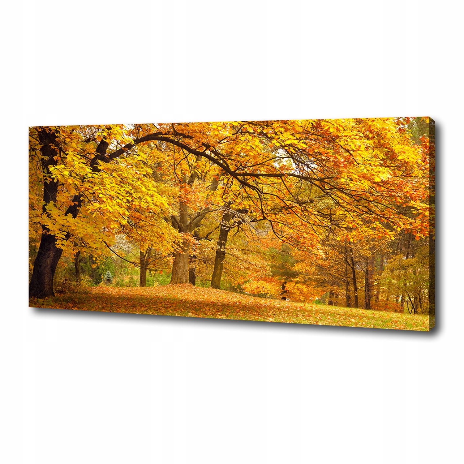

Foto obraz na płótnie Jesień w parku 125x50 cm