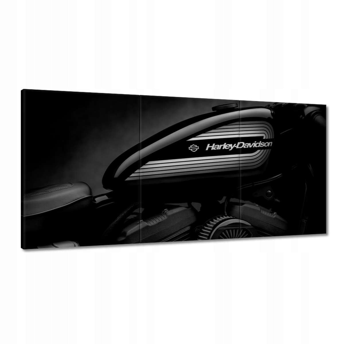Obrazy 180x90 Harley Davidson Motocykel