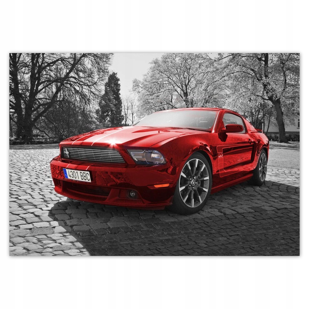 

Fototapety flizelina 312x219 Czerwony Mustang
