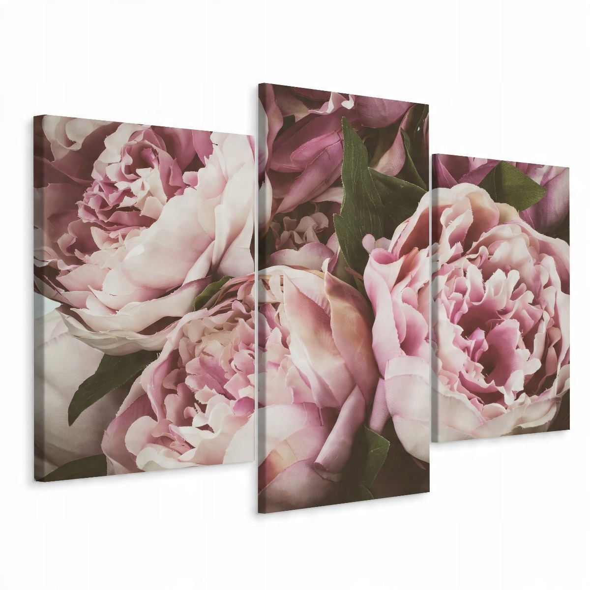 

Obraz Tryptyk Piwonie w Stylu Vintage 3D 120x80