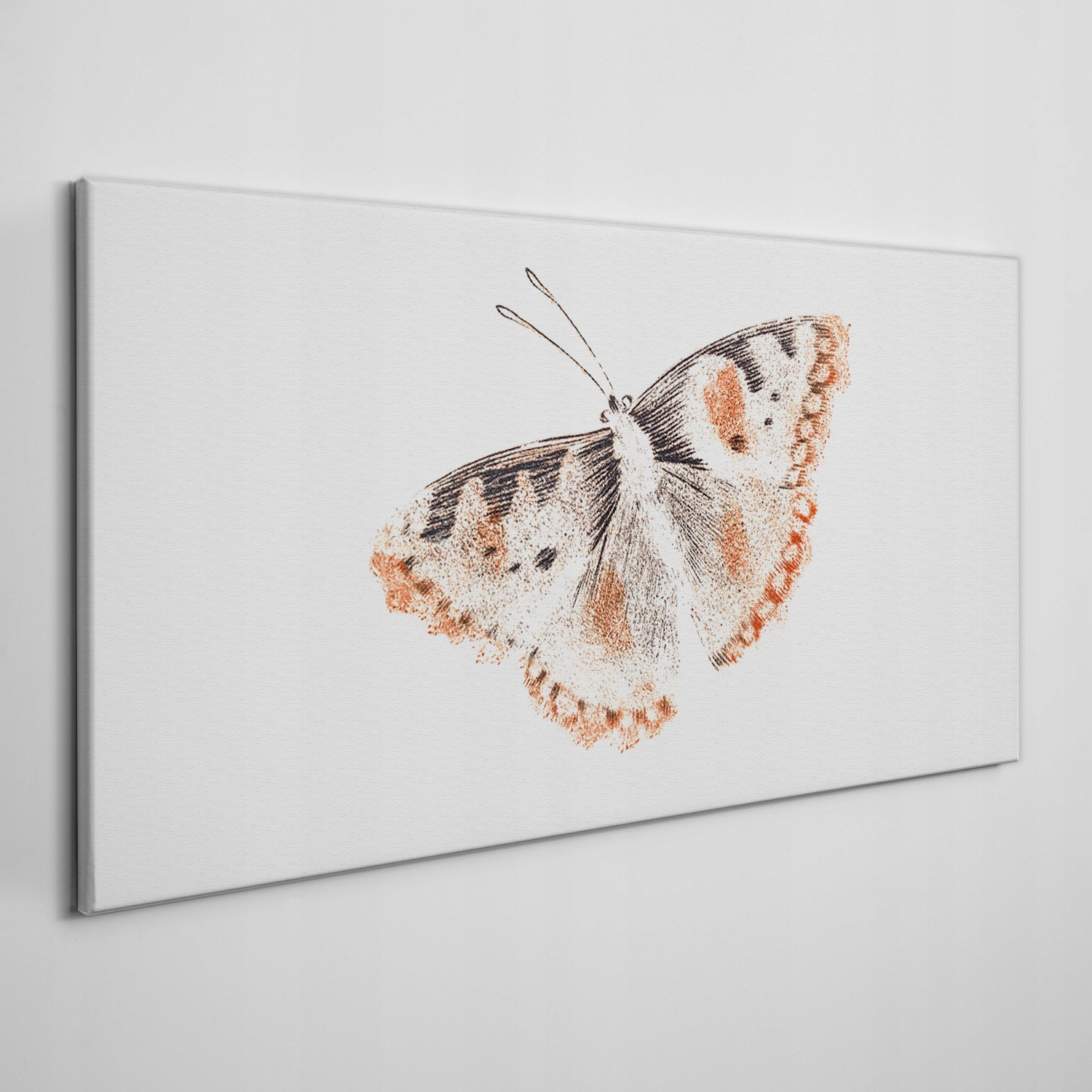 

Nowoczesny obraz na płótnie Owad motyl 140x70 cm