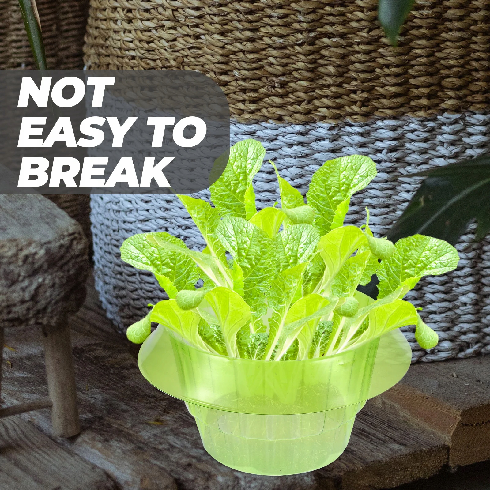 WARZYWNA OSŁONA ŚLIMAKÓW OCHRONA Producent inna