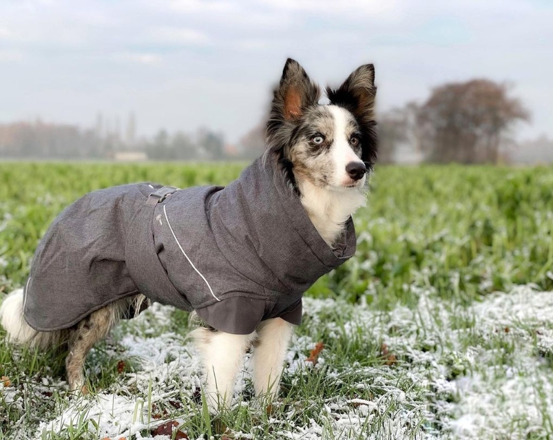 Bunda Expedition Parka Hurtta Blackberry/černý kabát pro psa velikost: 45