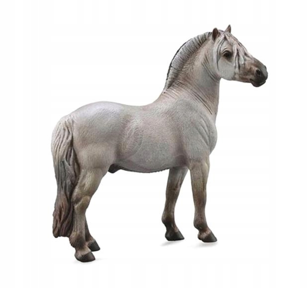 KOŃ FIORD STALLION GREY, COLLECTA