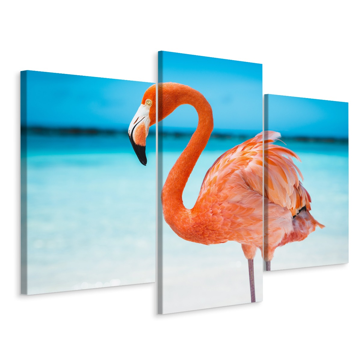 Obraz Triptych Plameňák na pozadí moře Krajina 90x60