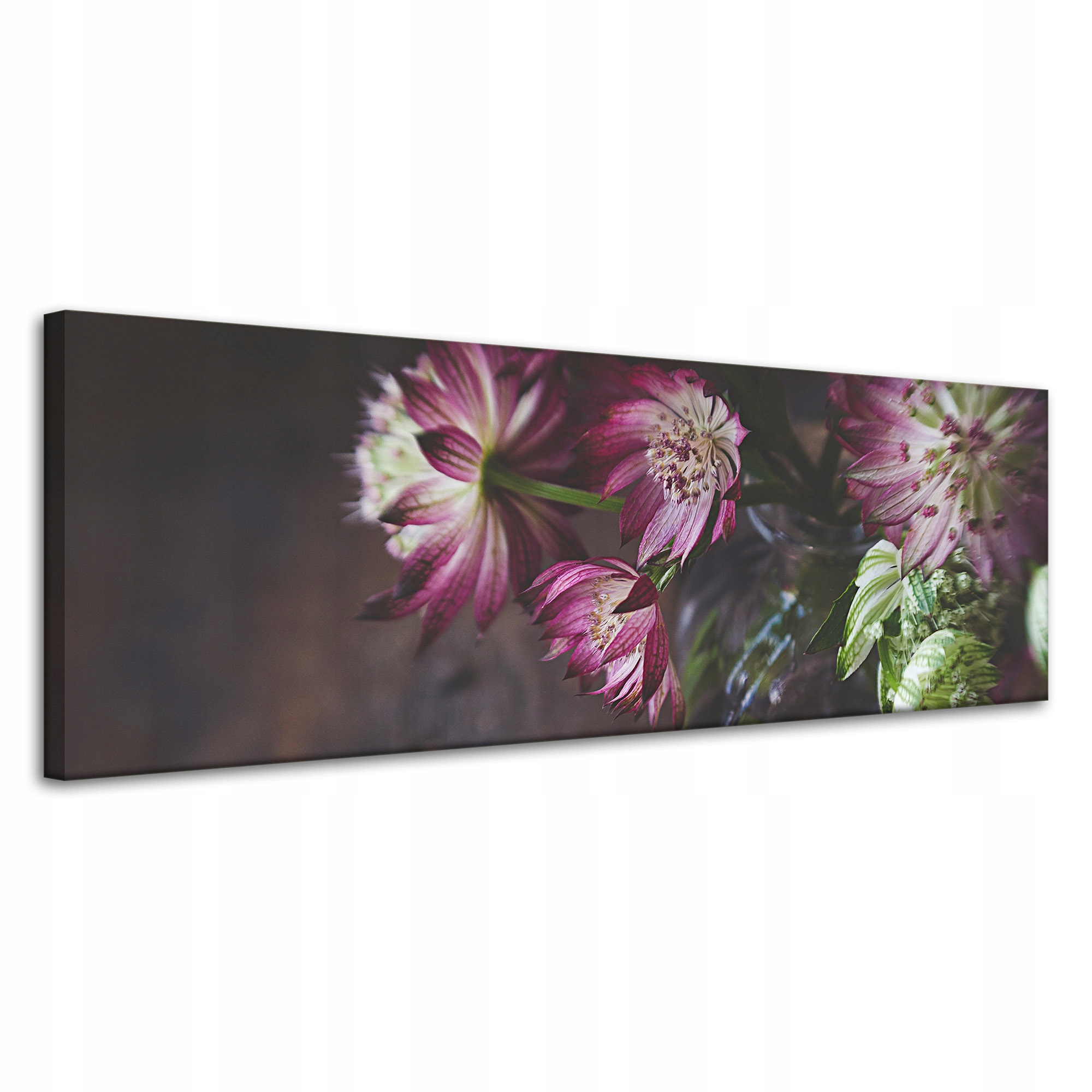 Obrazy na plátně Botanika Květiny ve váze 120x40