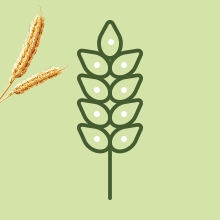 PRIORIN KAPSLE DOPLNĚK STRAVY PRO RŮST VLASŮ 120 KUSŮ Stav balení originální