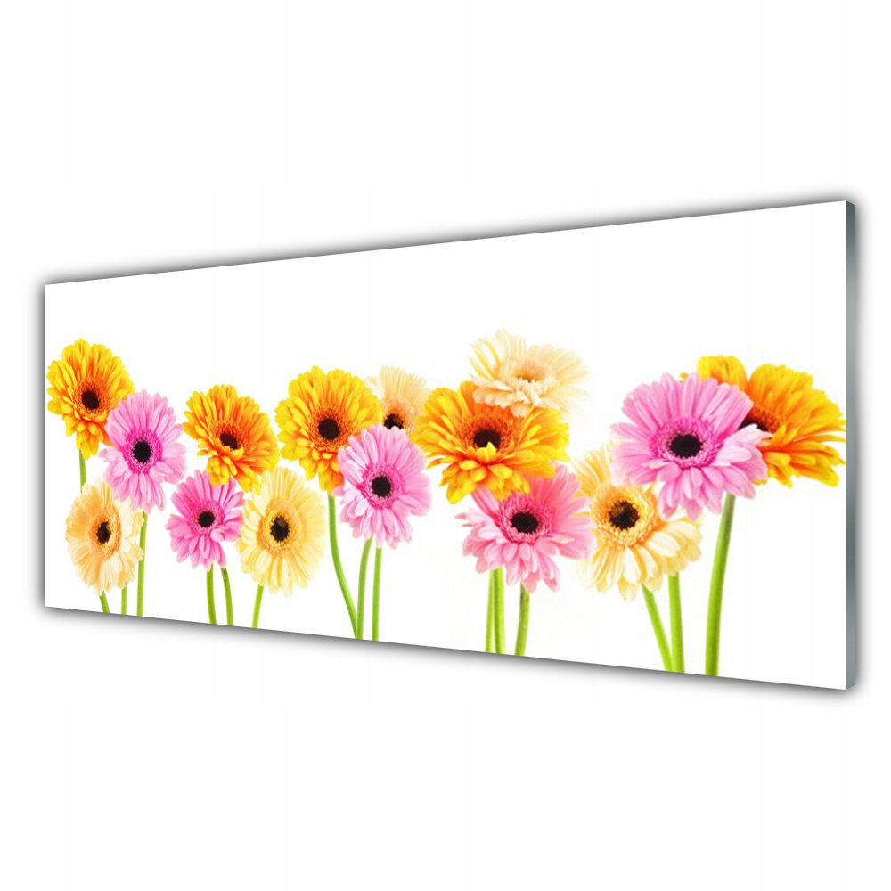 

Fotoobraz na ścianę 125x50 Kwiaty Kolorowe Gerbery