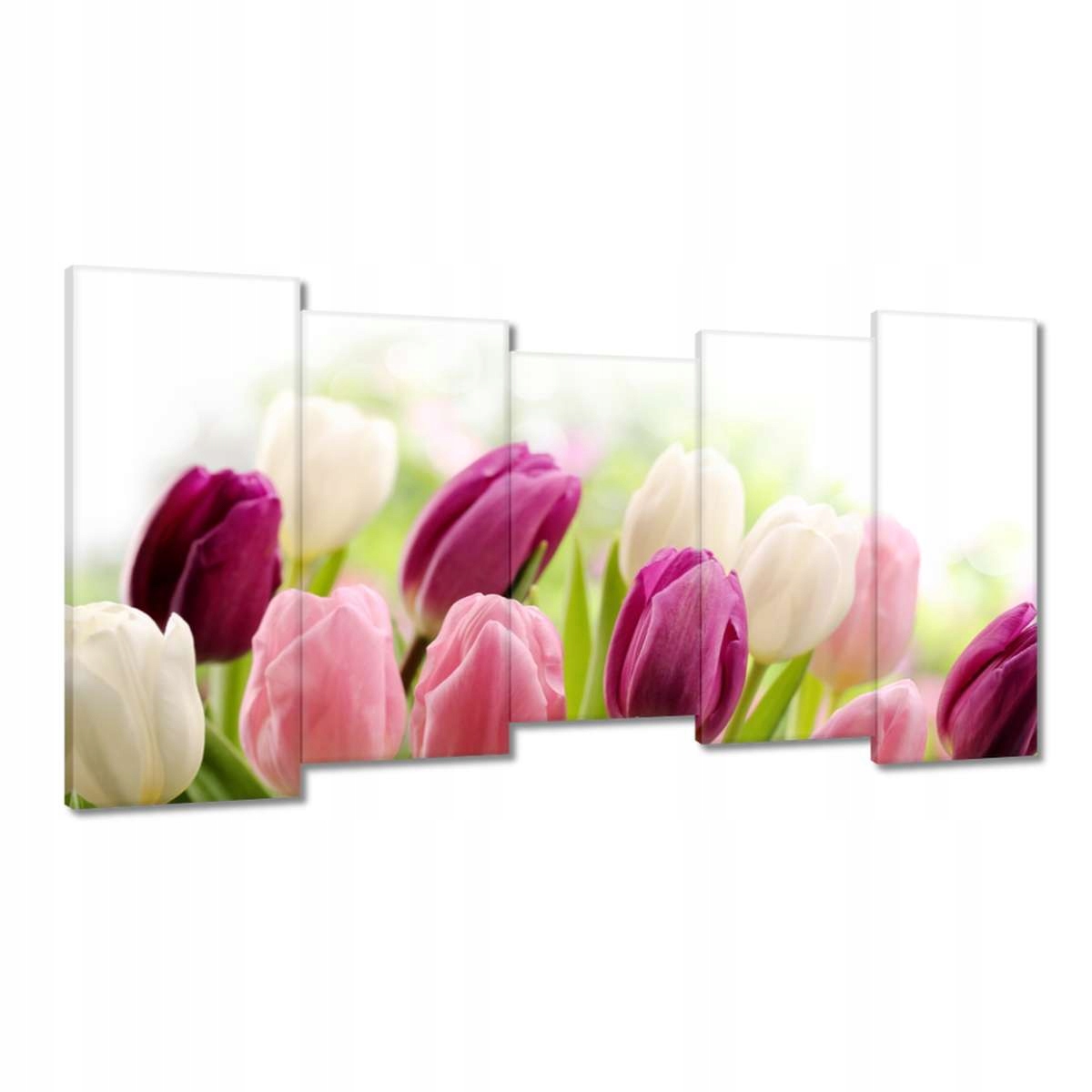 Obrazy 150x80 Krásné tulipány