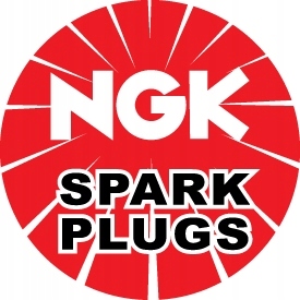 ŚWIECA NGK DPR6EA-9 KAWASAKI VN 1600 2003-2008 Producent NGK
