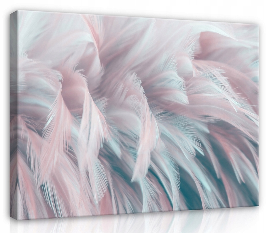Obraz 80x60 Lehkost jemnost pera pastelový klid abstrakce umění