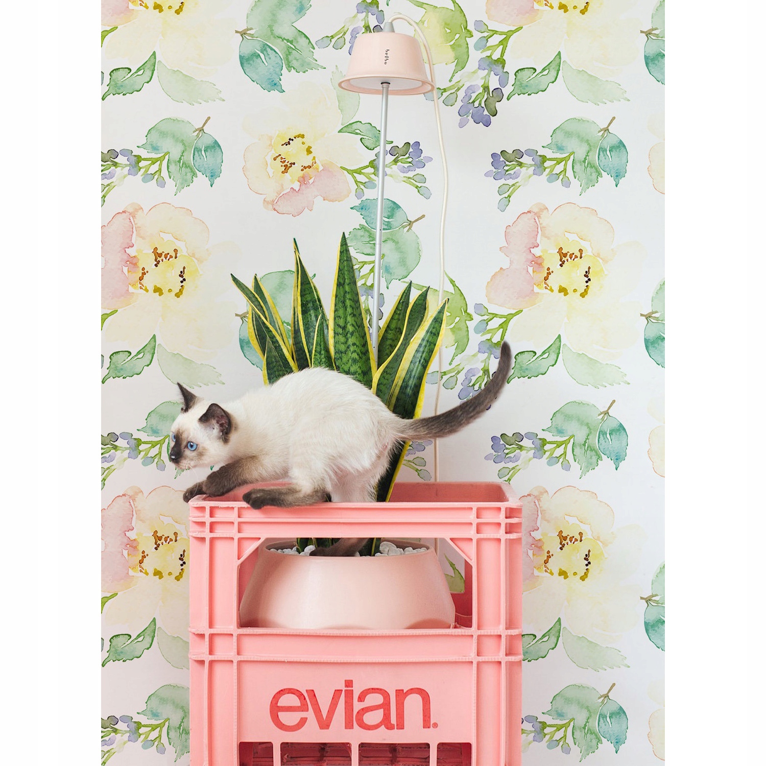 

Fototapeta na flizelinie Kwiatowa akwarela 416x254