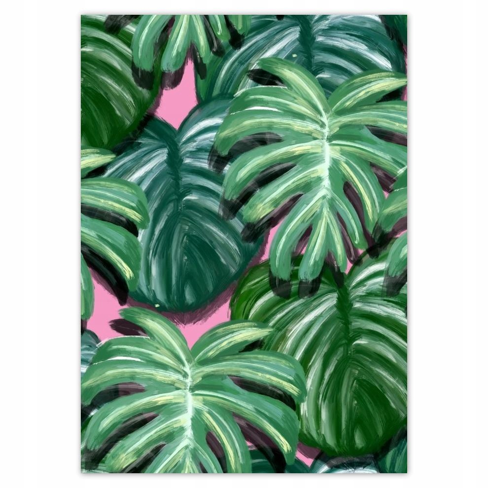 

Naklejki 50x70 Monstera Liście liść