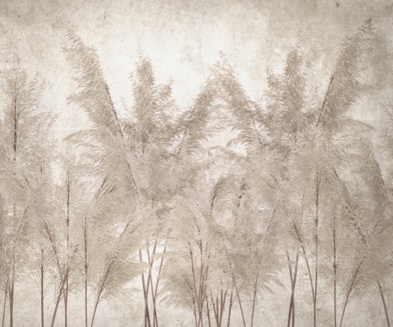 Fototapeta Béžové trávy 300 x 250 cm vlies 230 g