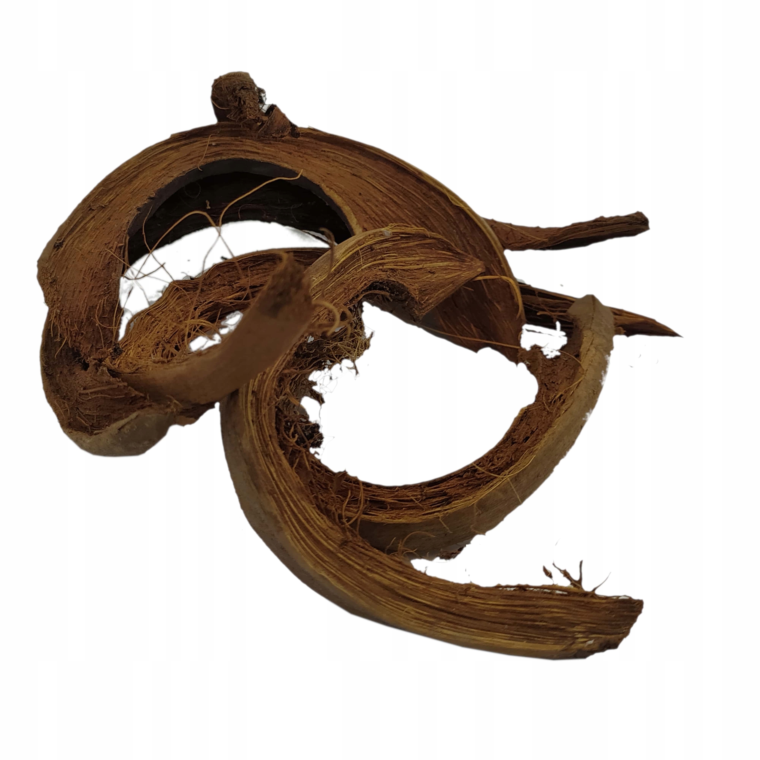 

Coco strips 10 sztuk, ozdoba terrarium