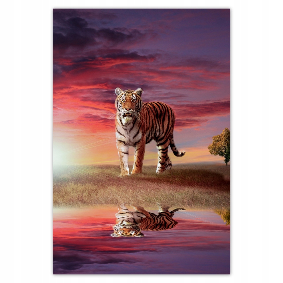 

Plakaty 80x120 Tygrys w magicznej krainie
