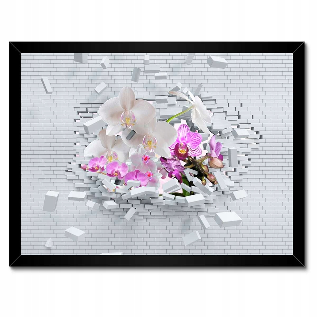 Plakáty v rámu 40x30 Orchidejem do zdi Květiny