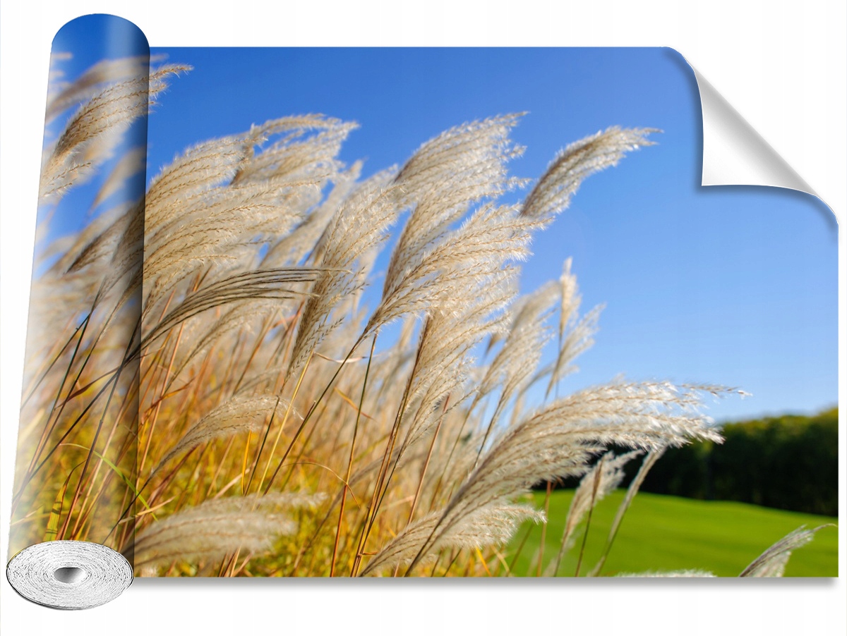 

Tapeta Samoprzylepna Trzcina niebieski 152x104