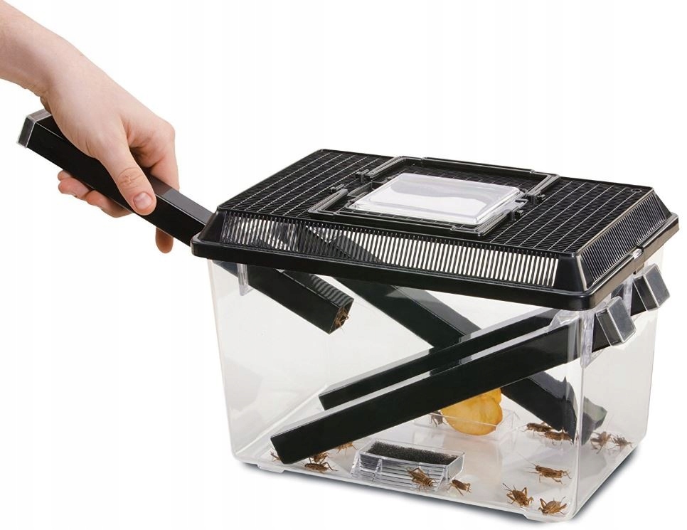 Exo Terra Cricket Pen L Terrarium na karmówkę (30x20,5x19,5cm)