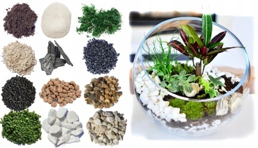 LAS W SŁOIKU SZKLE MIKROKLIMAT ZESTAW 13 SZT+ SŁÓJ DEKORACJA OZDOBA DOMOWA