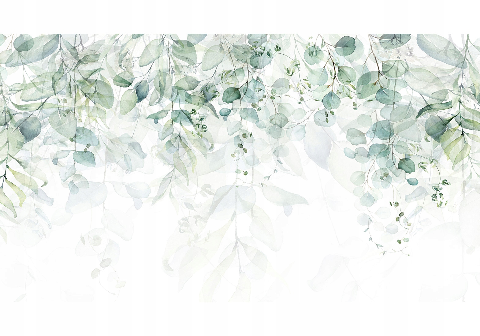 

Fototapeta Liście Natura 500x280 b-C-0615-a-e